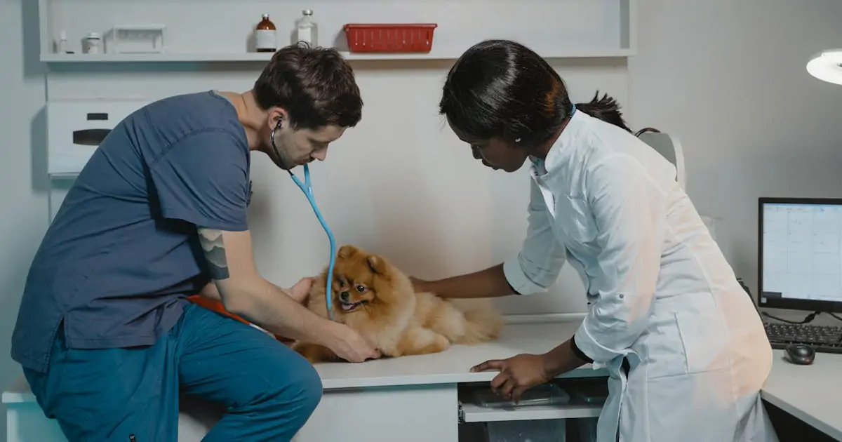 ERP para Clínicas Veterinárias